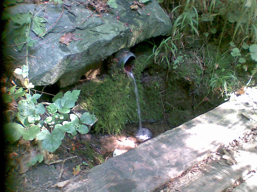 studánka bez jména (4983) - září 2011