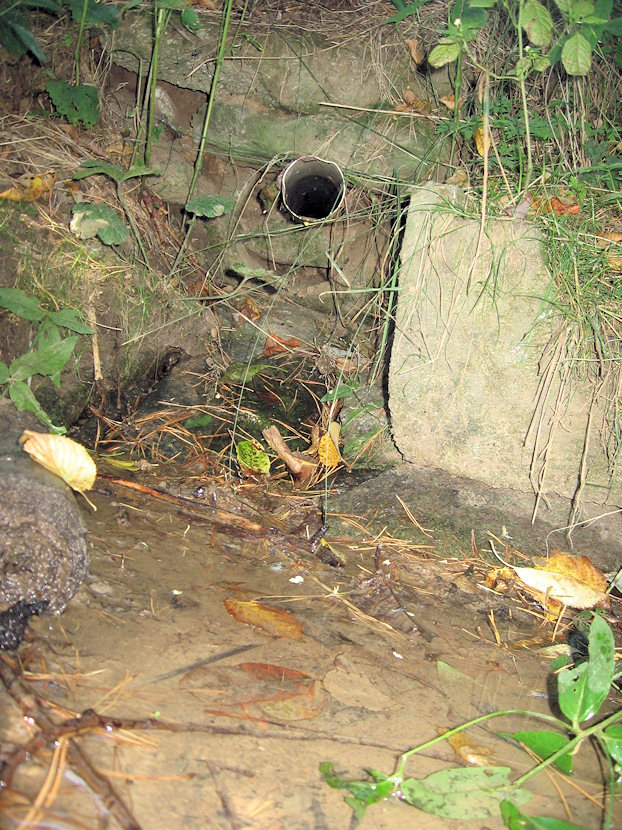 jiný vodní zdroj Pod leséčky  (4994) - září 2011