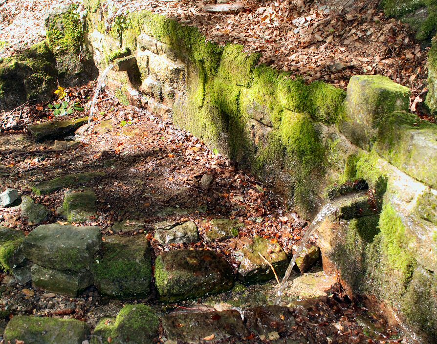 studánka Bukovka (5019) - září 2011