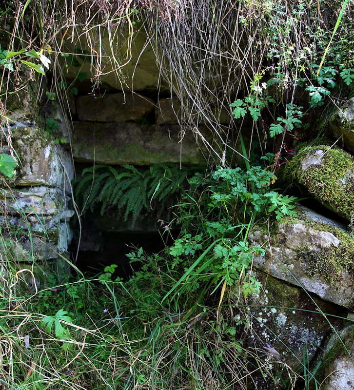 studánka U Lomu (5026) - září 2011