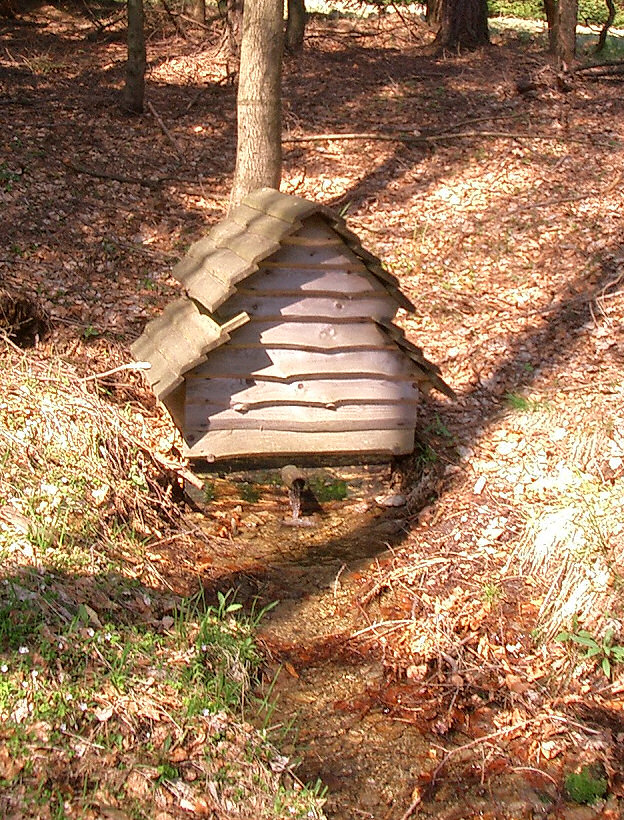 studánka U Bučin (5099) - říjen 2011