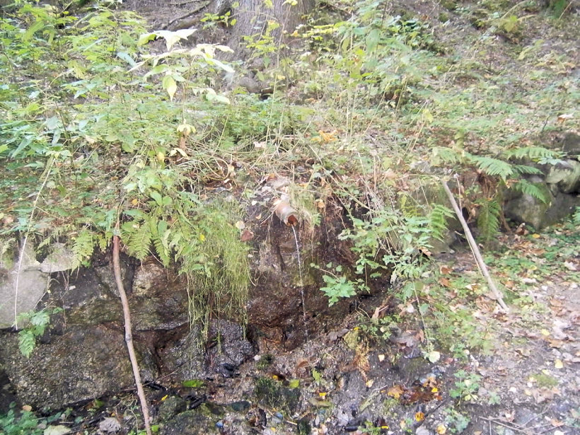 studánka bez jména (5101) - říjen 2011