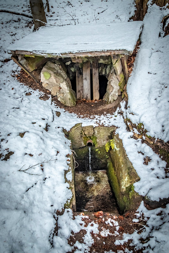 studánka bez jména (5102) - leden 2020