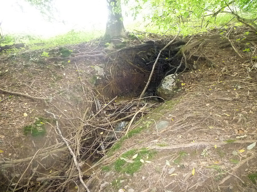 pramen Petrův dolíček (5116) - říjen 2011