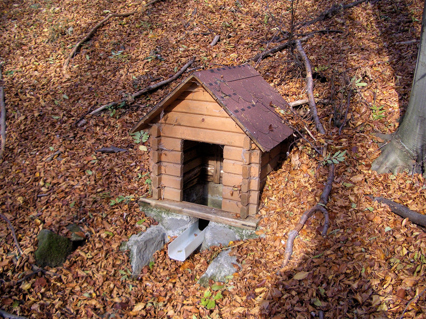 studánka Pod Vysoků (5146) - listopad 2011