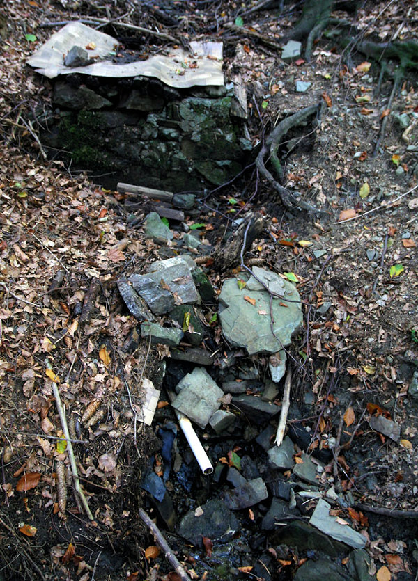 studánka Pod Klapinovem (5164) - listopad 2011