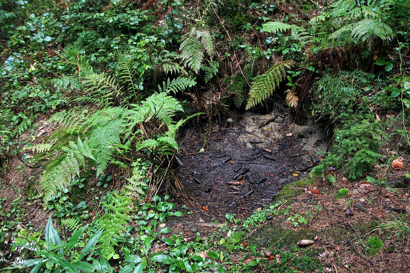 studánka Na Hlinském (5172) - listopad 2011
