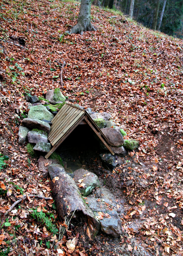 studánka Butorek (5174) - listopad 2011