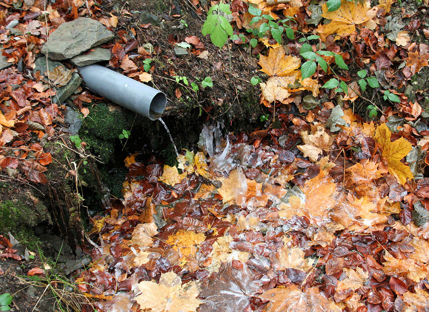 studánka U Kostelní cesty (5176) - listopad 2011
