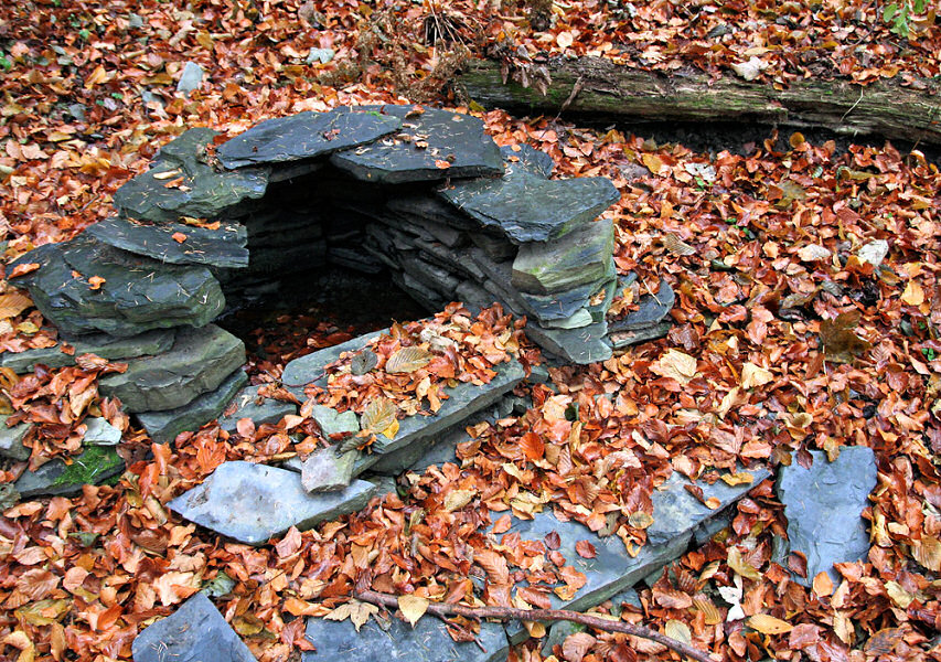 studánka U Šifrovy jeskyně (5180) - listopad 2011