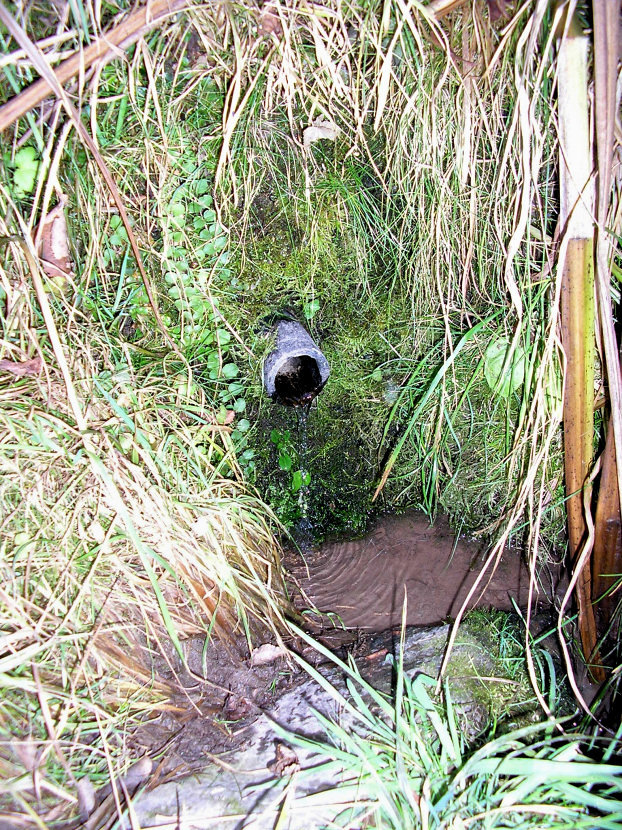 Studánka nad Olšinkou (5185) - listopad 2011