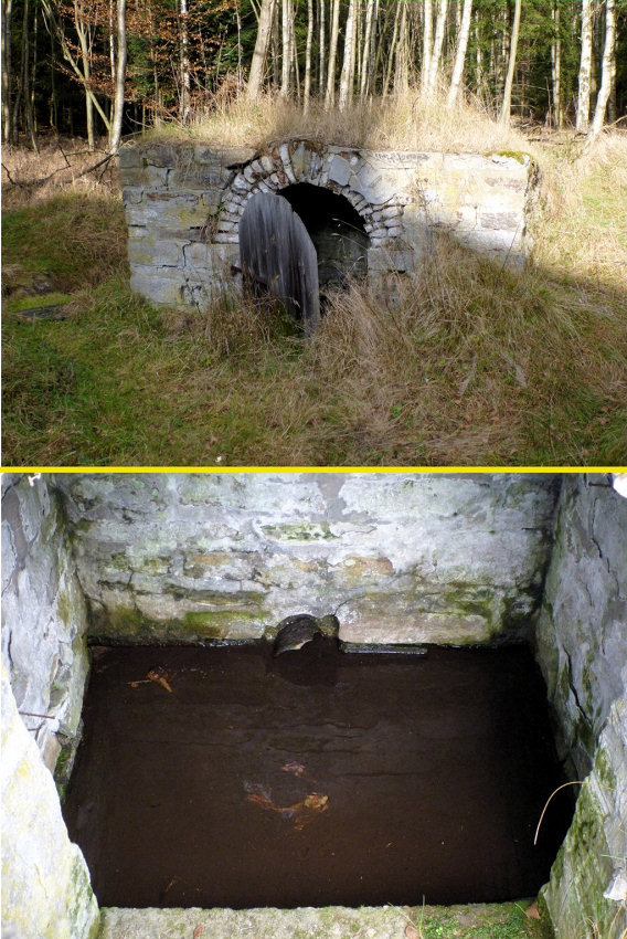 studánka U nádraží (5190) - listopad 2011