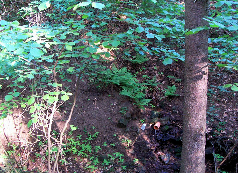 studánka V Homolce (5209) - leden 2012