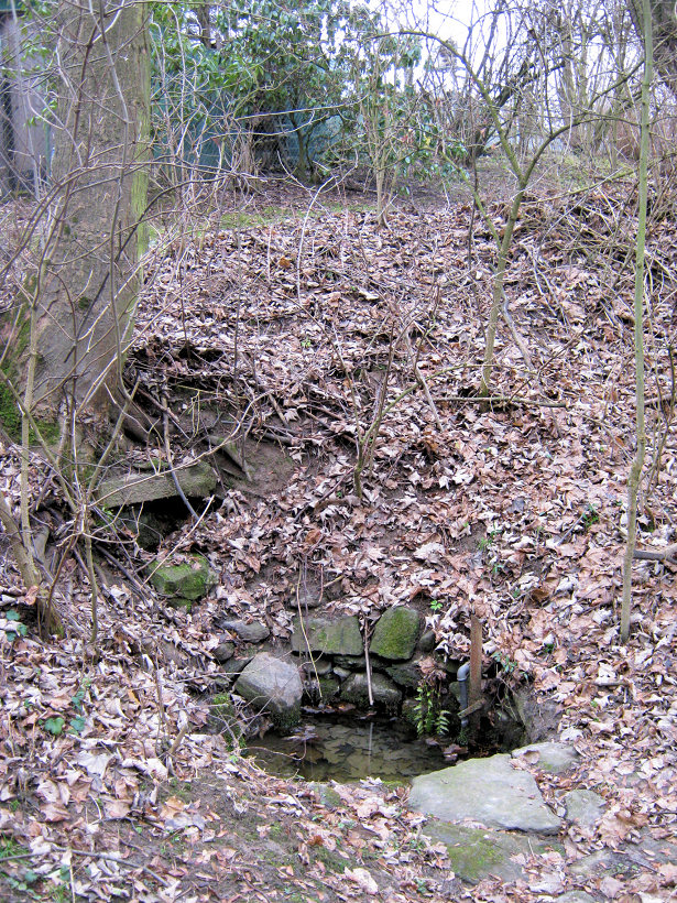 studánka Terůvky (5217) - leden 2012