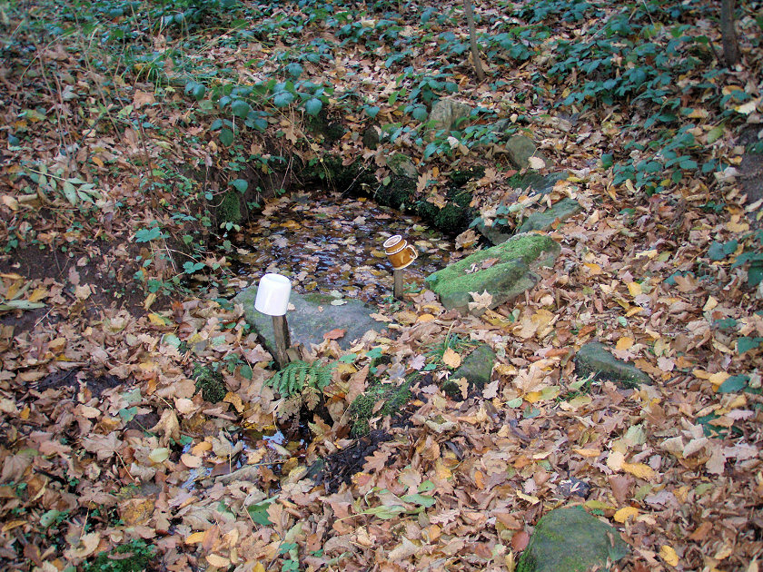 studánka bez jména (5237) - leden 2012