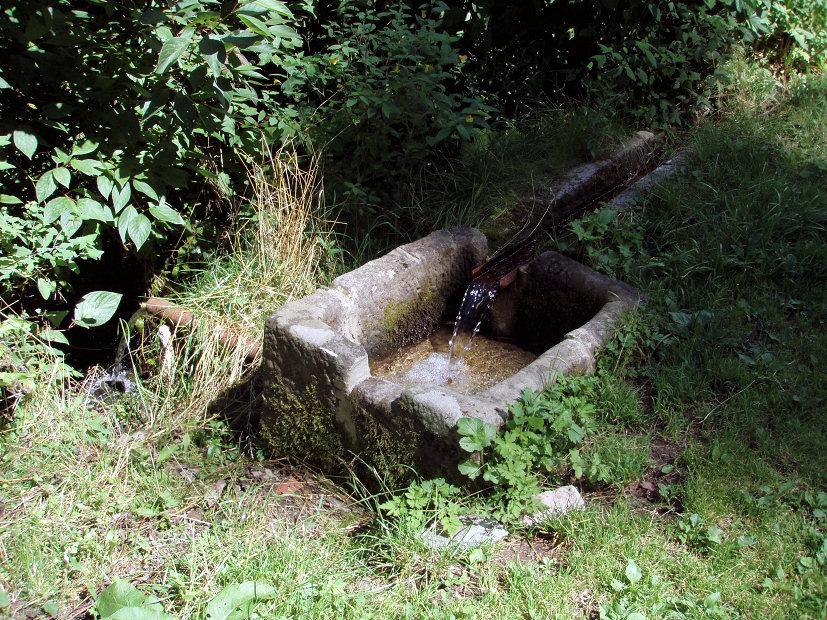 studánka bez jména (5249) - leden 2012