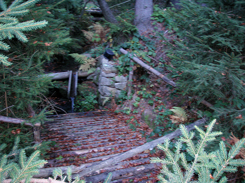 studánka bez jména (5253) - leden 2012