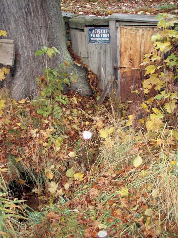 studánka bez jména (5254) - leden 2012