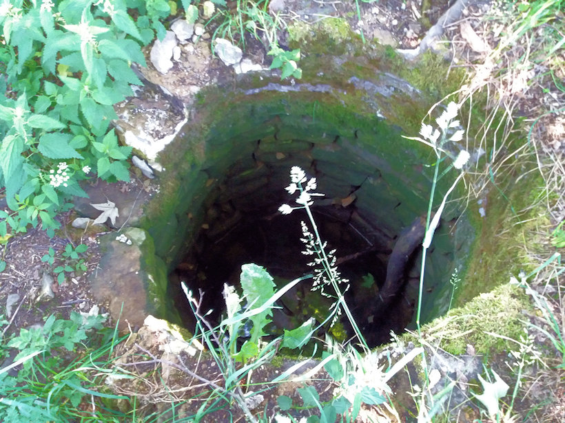 studánka bez jména (5256) - červen 2020