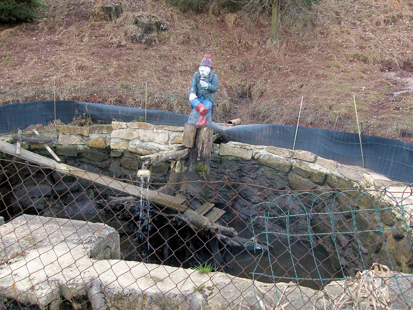 jiný vodní zdroj bez jména (5257) - leden 2012