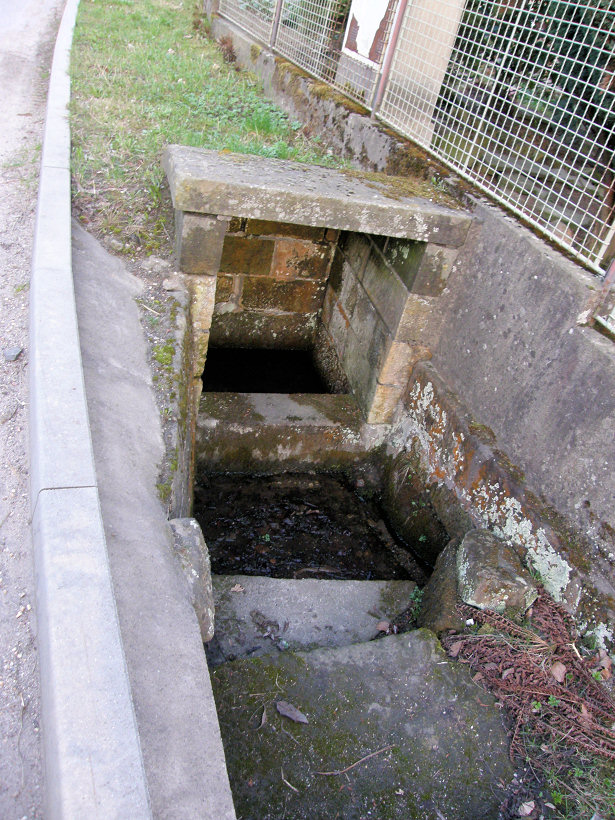 studánka bez jména (5260) - leden 2012