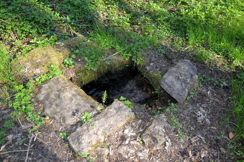 studánka bez jména (5273) - leden 2012