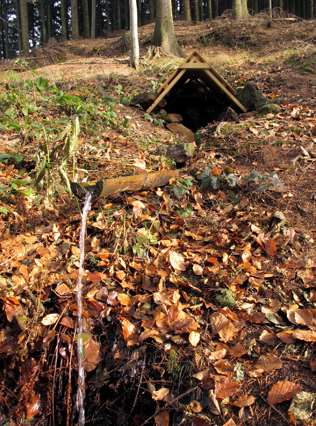 studánka V Hůrce (5281) - leden 2012