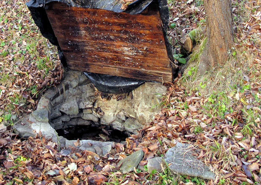 studánka U Šimků II (5285) - leden 2012