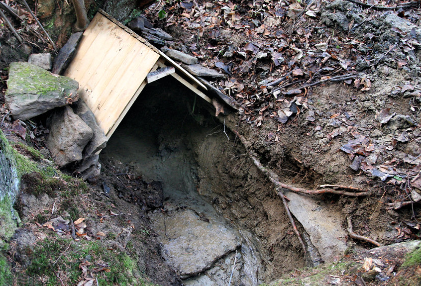 studánka V Háji (5287) - leden 2012