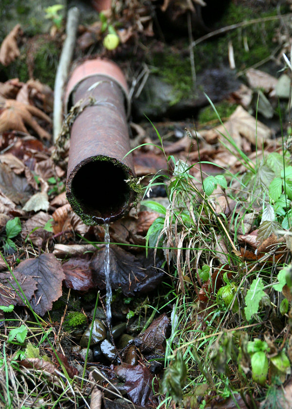 studánka Nad Čertovkama (5289) - leden 2012