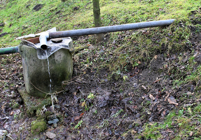 studánka Na Lisinské (5292) - leden 2012