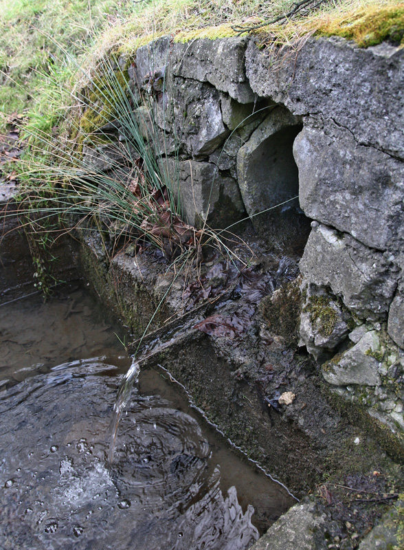 studánka U Vodojemu (5293) - leden 2012