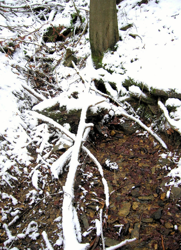 pramen Nad Hájovnou (5301) - leden 2012
