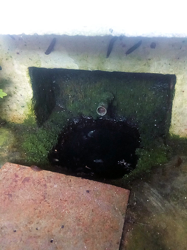 studánka Zdravá voda (5309) - červenec 2022