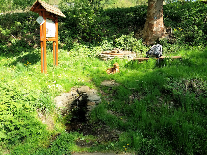 studánka U Silnice (5313) - datum neznámé