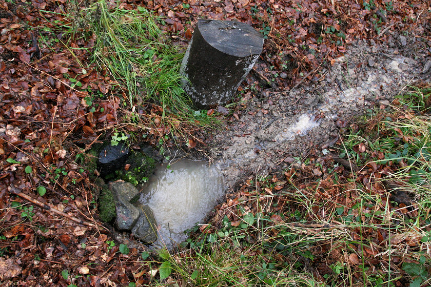 pramen Karlova studánka (5329) - leden 2012