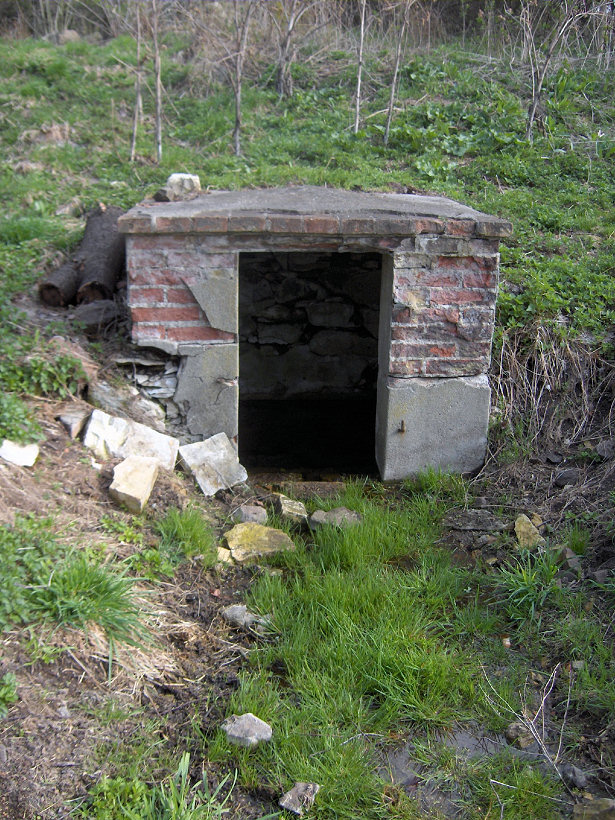 Svatovítská studánka (5343) - leden 2012