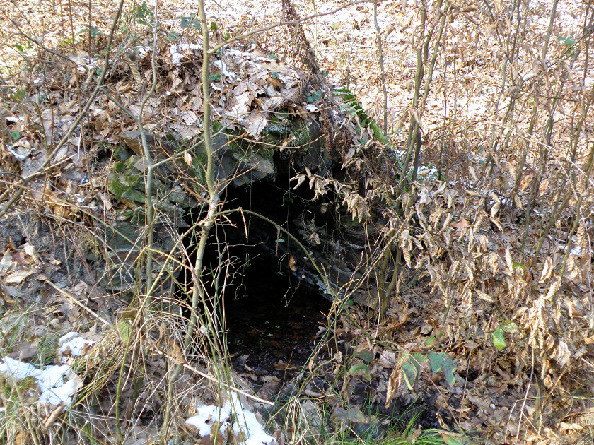 studánka Pod Bořínem (5346) - leden 2012