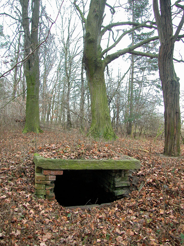 studánka bez jména (5350) - únor 2012