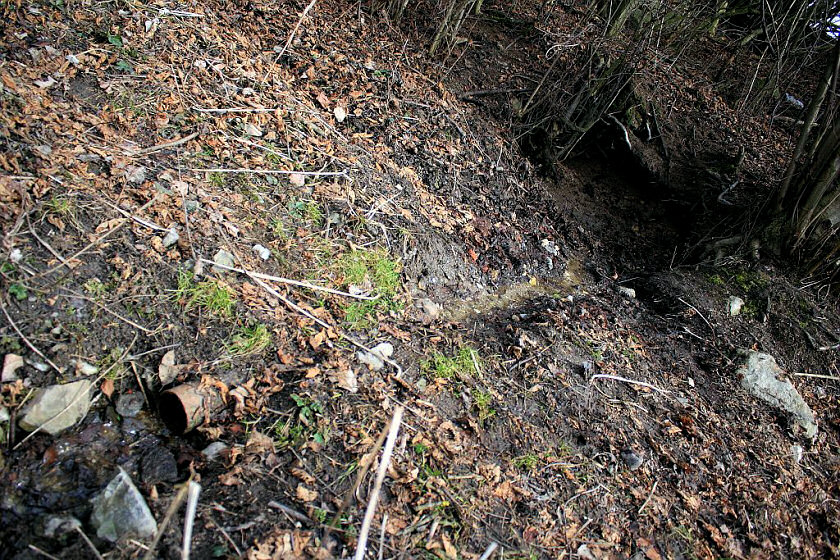 Hrbovská studánka (5388) - únor 2012