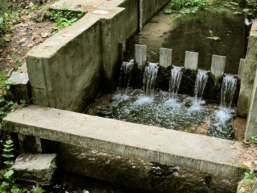 pramen Nad Vysokým kolem (5397) - únor 2012