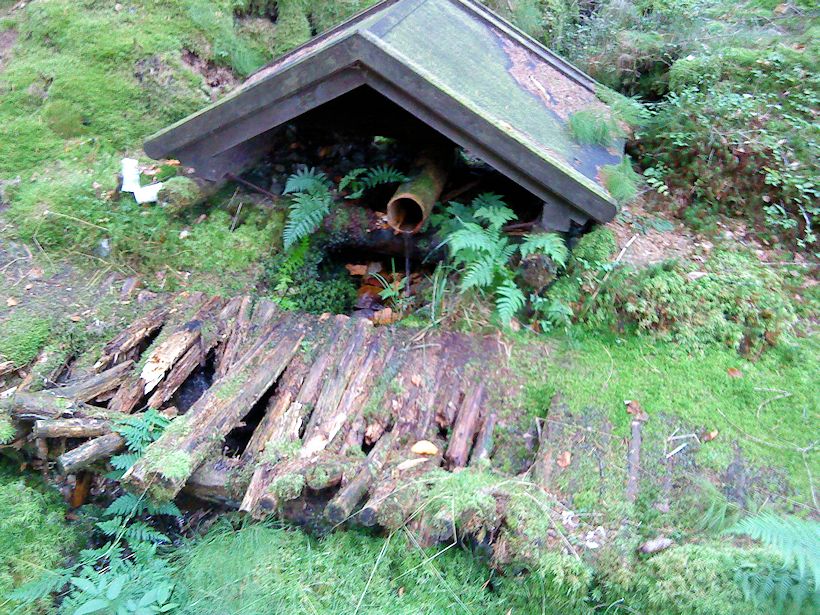 studánka U Trojice (5438) - únor 2012