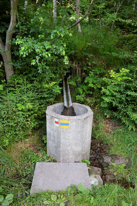 studánka bez jména (5443) - březen 2012
