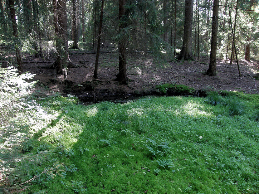 pramen bez jména (5452) - březen 2012