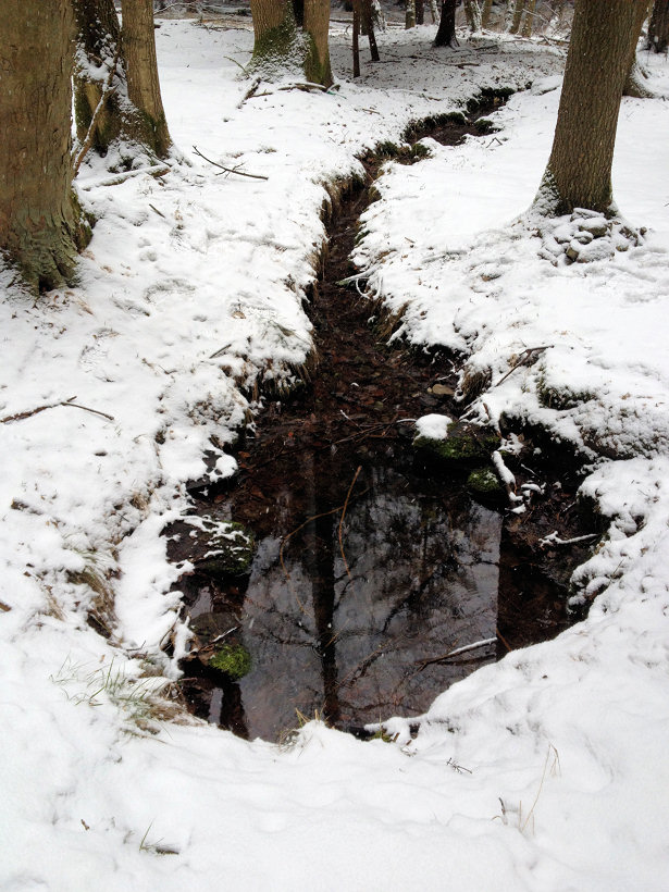studánka Pod Černým vrchem (5463) - březen 2012