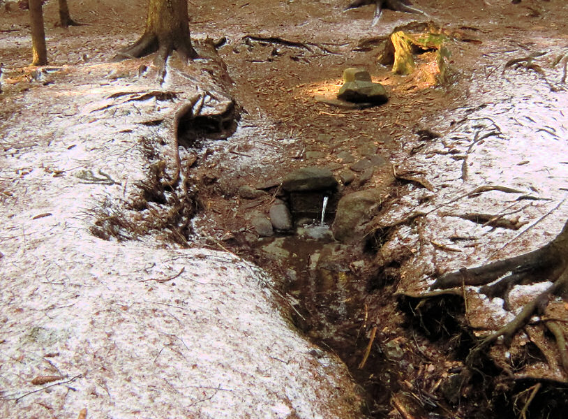 studánka Pod Černým rybníkem (5465) - březen 2012