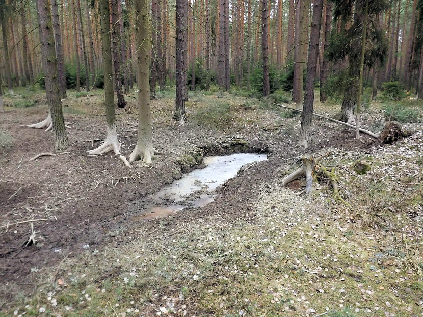 prameniště Močidla (5467) - březen 2012