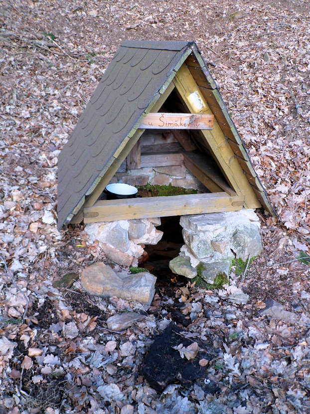 studánka U Šimákovny (5477) - březen 2012