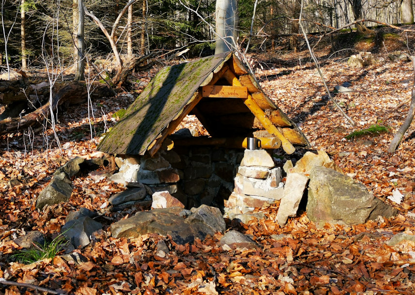 studánka Živá voda (5482) - únor 2021