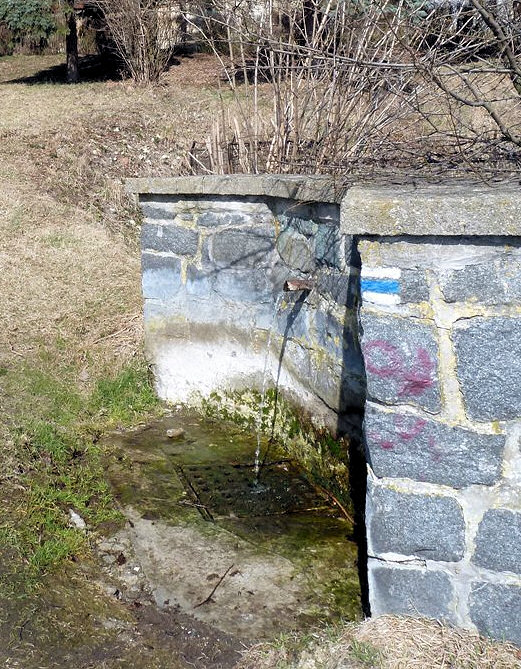 studánka Pod kostelem (5484) - březen 2012